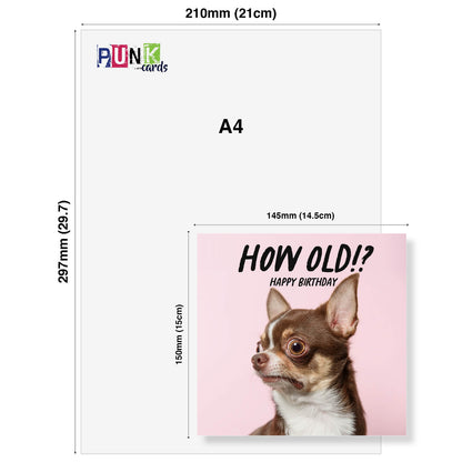 How Old!? – Chihuahua Birthday Card