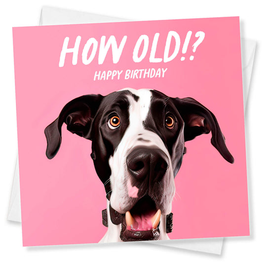 How Old!? – Great Dane Birthday Card
