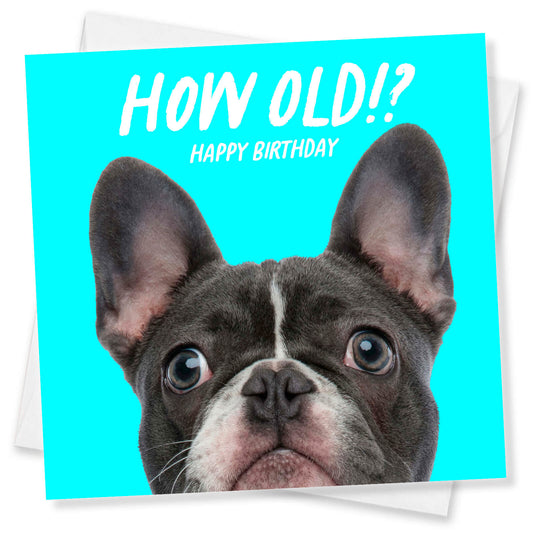 How Old!? – Boston Terrier Birthday Card