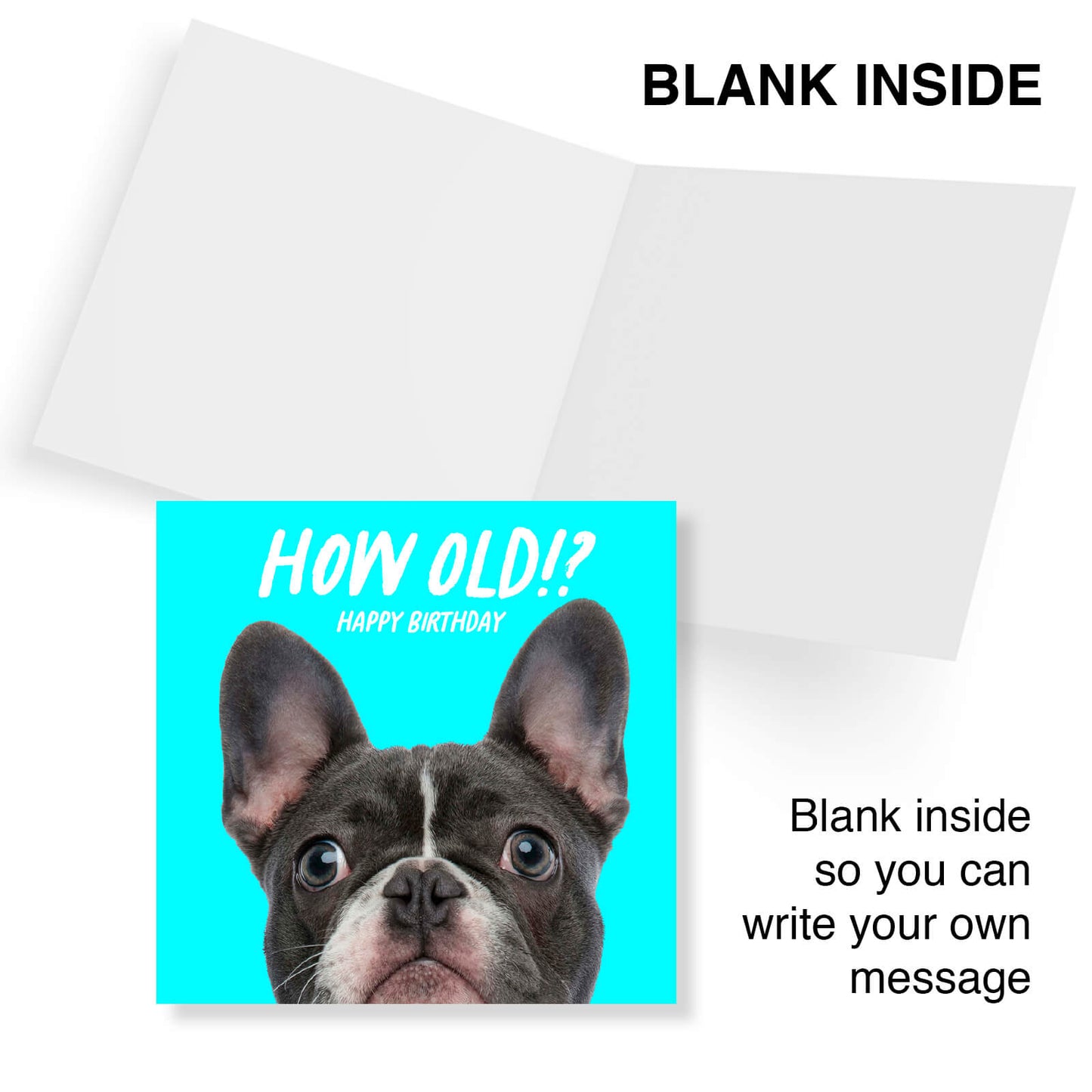 How Old!? – Boston Terrier Birthday Card