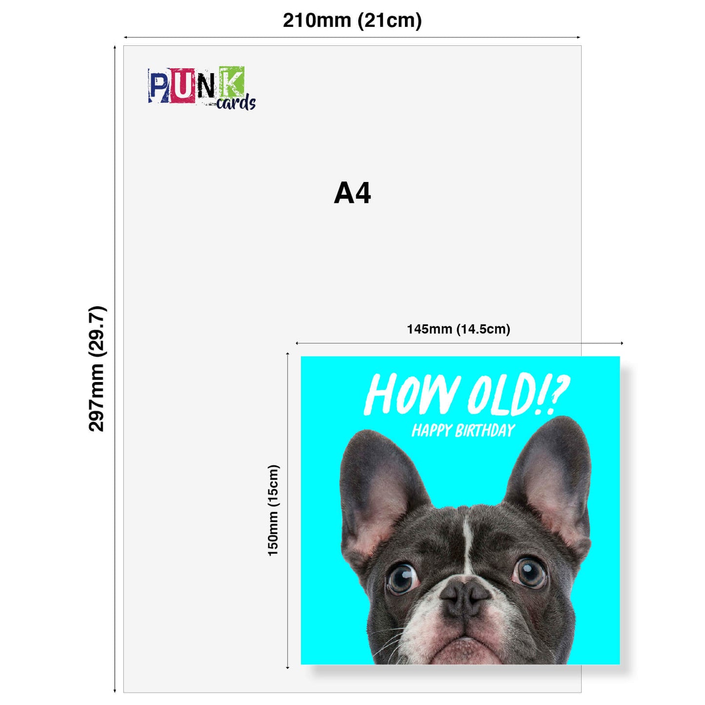 How Old!? – Boston Terrier Birthday Card