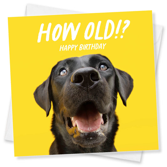 How Old!? – Black Labrador Birthday Card