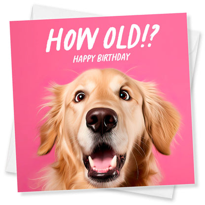 How Old!? – Golden Retriever Birthday Card