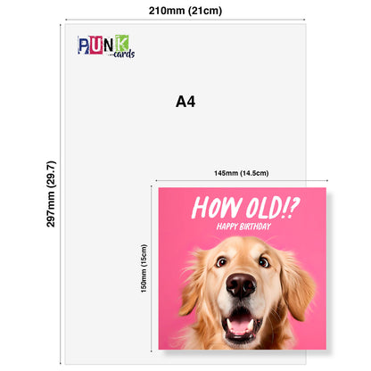 How Old!? – Golden Retriever Birthday Card