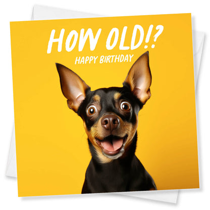 How Old!? – Mini Pinscher Birthday Card