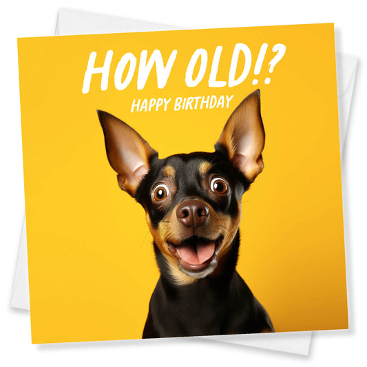 How Old!? – Mini Pinscher Birthday Card