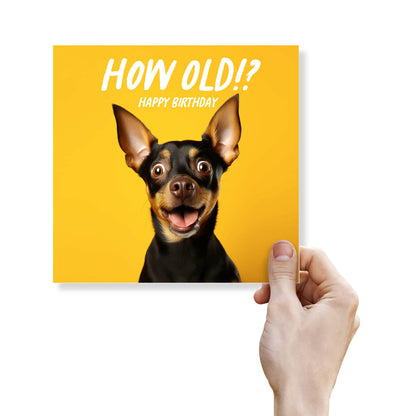 How Old!? – Mini Pinscher Birthday Card