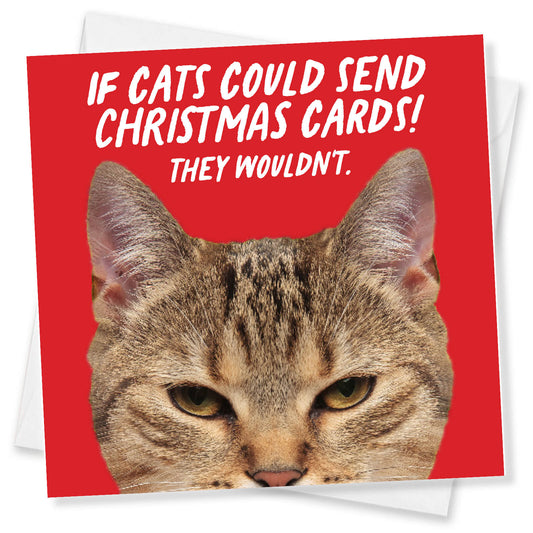If Cats Could Send Christmas Cards