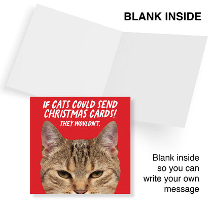 If Cats Could Send Christmas Cards